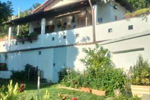 Casa singola immersa nel verde