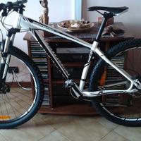 bici MTB specialized Rockhopper Comp 29