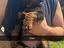 Immagine 2