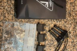 Pipette e bobine Triumph Legend tt 900