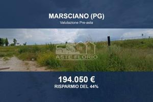 Immobile in asta di 17324 m² a Marsciano