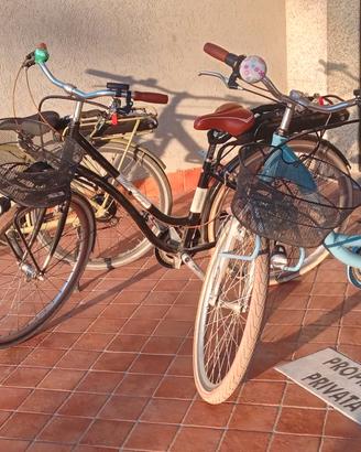 E-BIKE NSR BELLE EPOQUE 26” 28"