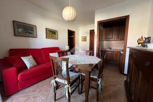 3 LOCALI A GRADO