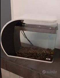 Acquario d arredo 19 litri