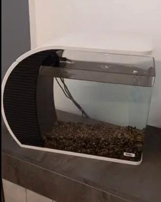 Acquario d arredo 19 litri