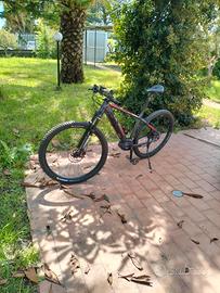 e bike olimpia