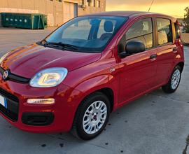 FIAT Panda 3ª serie - 2015