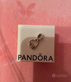 Charm pandora