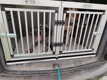 trasportino cani 