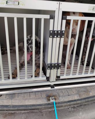 trasportino cani 