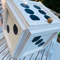 Cubo,contenitore,portaoggetti.