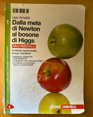 Dalla mela di Newton al bosone di Higgs