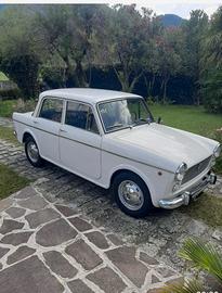 fiat 1100d