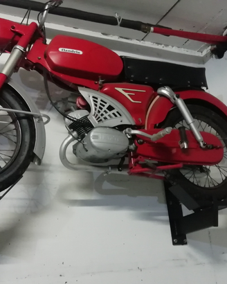 Flandria rally 50