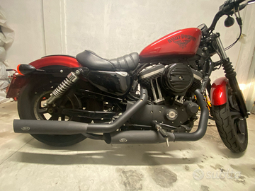 Harley Davidson 883