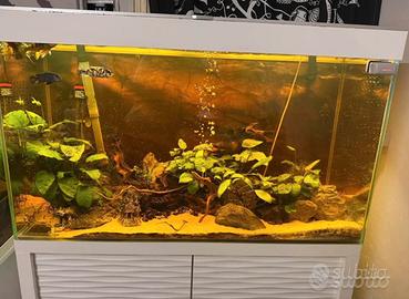 Acquario 200 litri Ciano Emotion 100