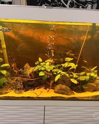 Acquario 200 litri Ciano Emotion 100