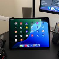 iPad 5th 256GB Grigio Siderale 12.9'' + accessori