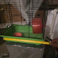 Gabbie per criceti più accessori