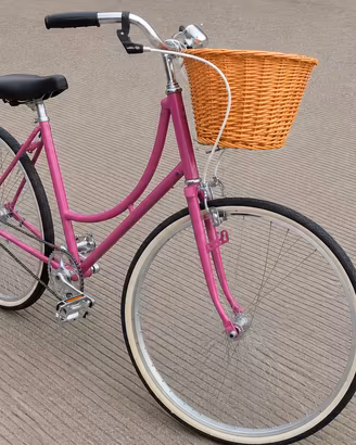 Bici Olandese donna