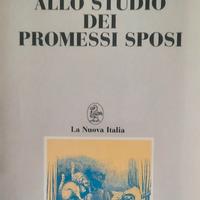 libro guida ai promessi sposi