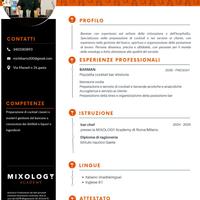 lavoro da barman 