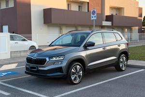 Skoda karoq 2.0 TDI 115cv DSG