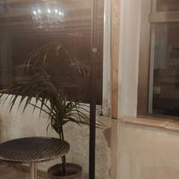 Bimar Stufa Elettrica Esterno HR311 Alogena Radian