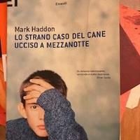 MARK HADDON- LO STRANO CASO DEL CANE UCCISO A MEZZ