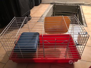 Gabbia per cavie