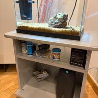 Acquario con 2 pesci, filtro, mobile e accessori