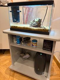 Acquario con 2 pesci, filtro, mobile e accessori