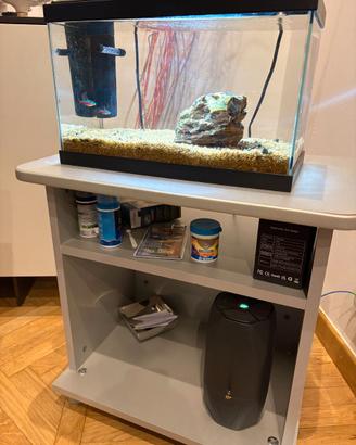 Acquario con 2 pesci, filtro, mobile e accessori