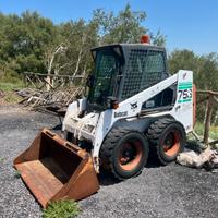 Minipala Bobcat mod. 753