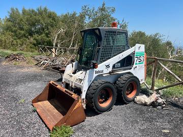 Minipala Bobcat mod. 753