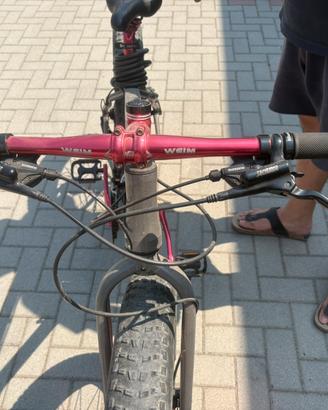 Bicletta
