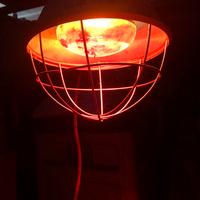 Lampada riscaldante per animali/schiusa delle uova