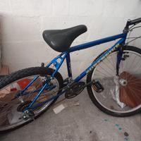 Mountain bike 26 da sistemare