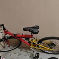 MTB biammortizzata 24"
