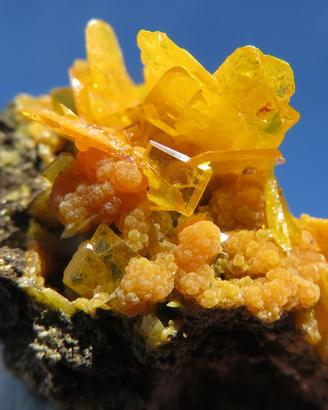WULFENITE GIALLA PERFETTA su MATRICE Arizona