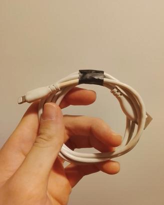 Caricabatterie per iPhone 