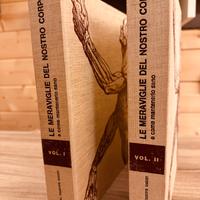 Enciclopedia le meraviglie del corpo