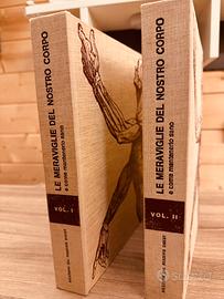 Enciclopedia le meraviglie del corpo