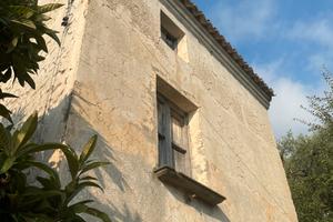 Terreno con ulivi e parte di rudere