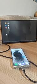 Monitor Portatile NEOFYTE - Full HD IPS USB-C&HDMI