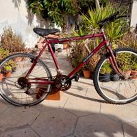 Bici Usate: Uomo--Sportive---