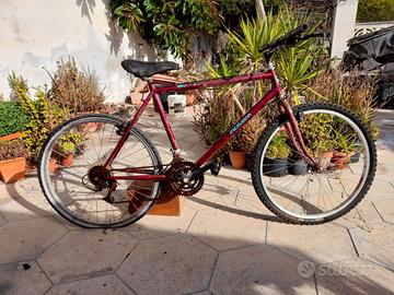 Bici Usate: Uomo--Sportive---