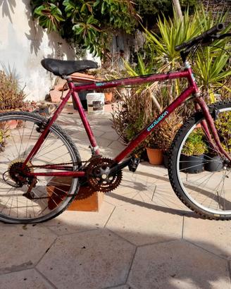 Bici Usate: Uomo--Sportive---