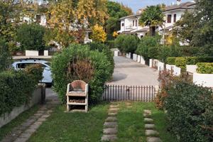 Schiera a Duna verde