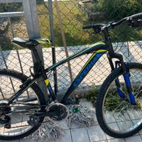 Mountain bike